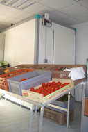 vente directe de fruits et légumes