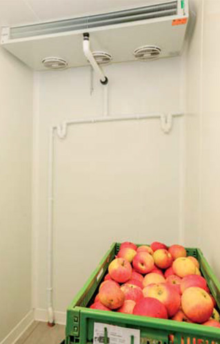 Le frigo légumes pour les produits destinés à être mis en rayon