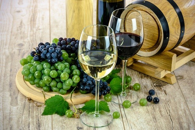 froid vinicole