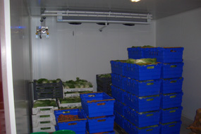transformation fruits et légumes